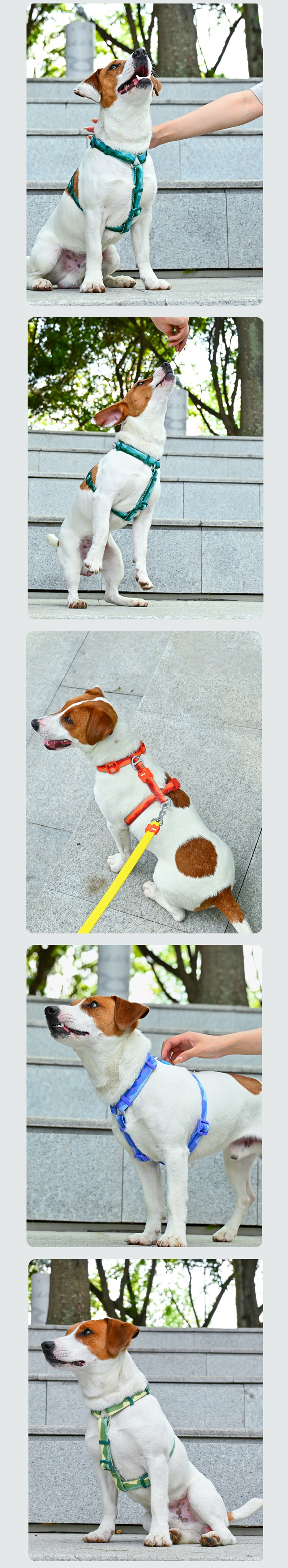 VITAL WAVE 漸變山海印花織帶工字型胸背帶